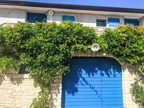 A building with a blue door and windows, covered partially by green foliage.