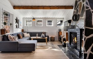 Smart-TV, Kamin