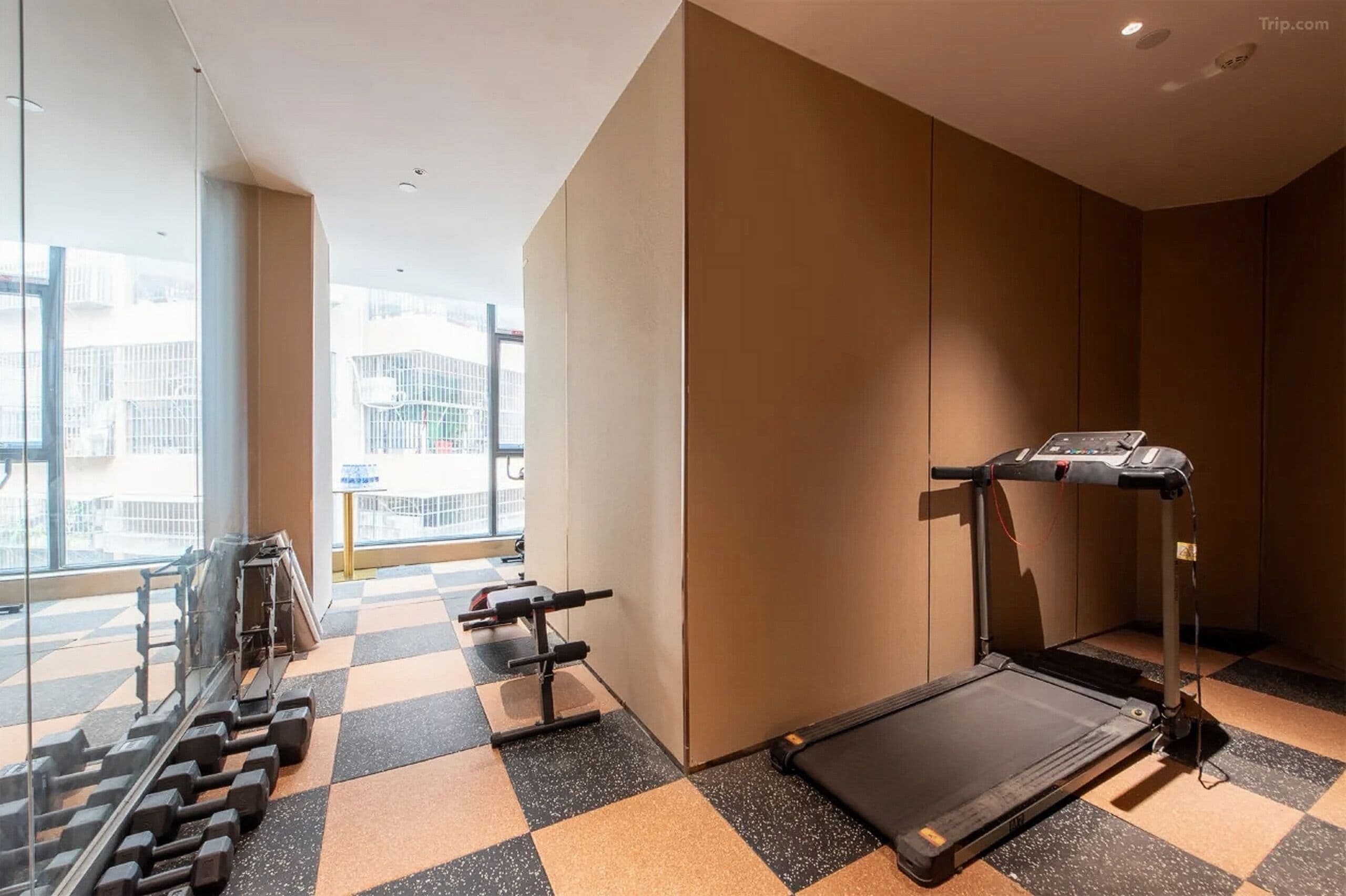 A gym with a treadmill, dumbbells, and a weight bench.