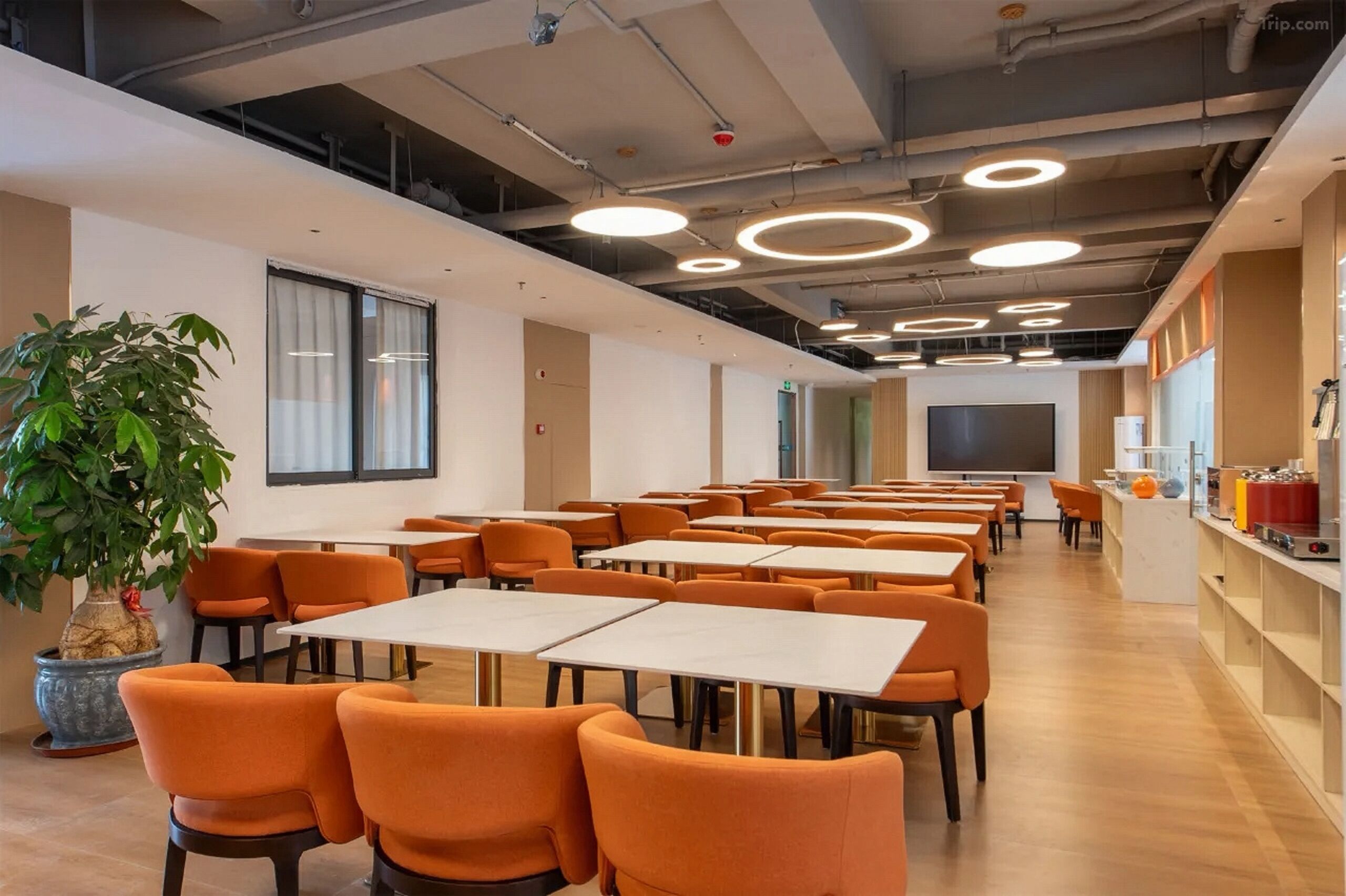A modern conference room with tables and chairs, a large plant, and a kitchen area.