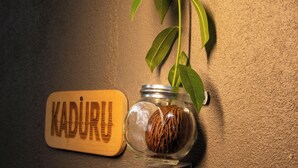 A wooden sign with the word 'KADURU' mounted on a textured wall, a glass jar with a nut inside, and a green plant with leaves.