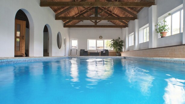 Une piscine intérieure avec un plafond en bois, un coin salon avec une table et des chaises, et une plante en pot.