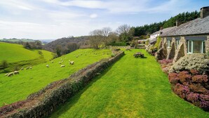 Un paysage rural avec une maison en pierre, des champs verdoyants et des moutons qui paissent.