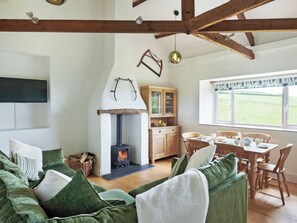 TV, fireplace - 3 bedroom accommodation in Barnstaple (Barnstaple)
