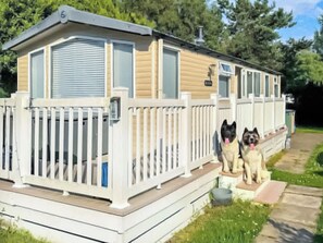 Ein Wohnmobil mit umzäunter Veranda und zwei Hunden, die auf den Stufen sitzen.