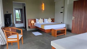 In-room safe, desk, laptop workspace, iron/ironing board - Moonstone herbal villa (Balapitiya)