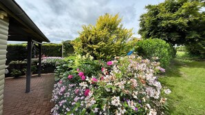 A garden with a brick pathway, a pergola, and various flowering plants. - Fabulous Bungalow in Steffenshagen near Sea (Steffenshagen)