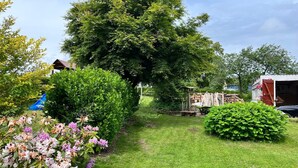 Un giardino con un grande albero, una struttura in legno e un prato curato.