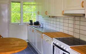 Kühlschrank, Mikrowelle, Herdplatte, Geschirrspüler