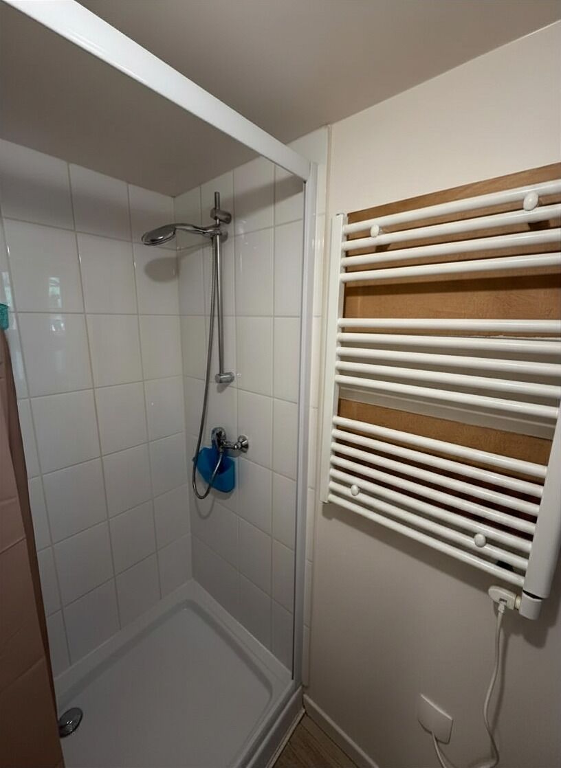 Een douche met een handdouche, een wandhanddoekhouder en een witte radiator.