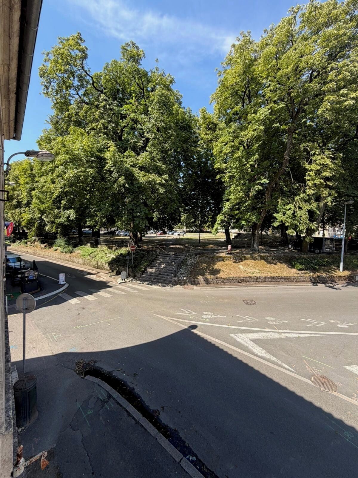 A street view with trees, a crosswalk, and a building with a visible entrance.
