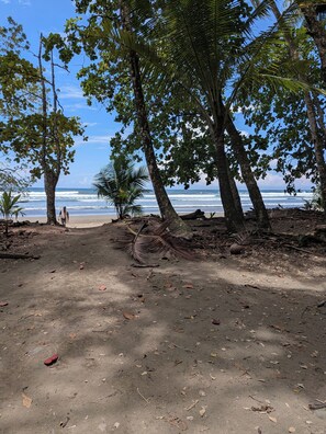 A beach with trees, a path, and the ocean in the background. - New cozy private home near all beaches (Uvita)