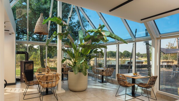 Un espace intérieur vaste et lumineux, avec de grandes fenêtres, des meubles en osier et une grande plante en pot.