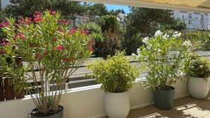 Plantas en macetas en un balcón con vistas a edificios y árboles.