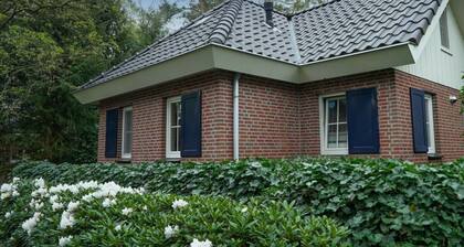 Villa in Beekbergen With Terrace