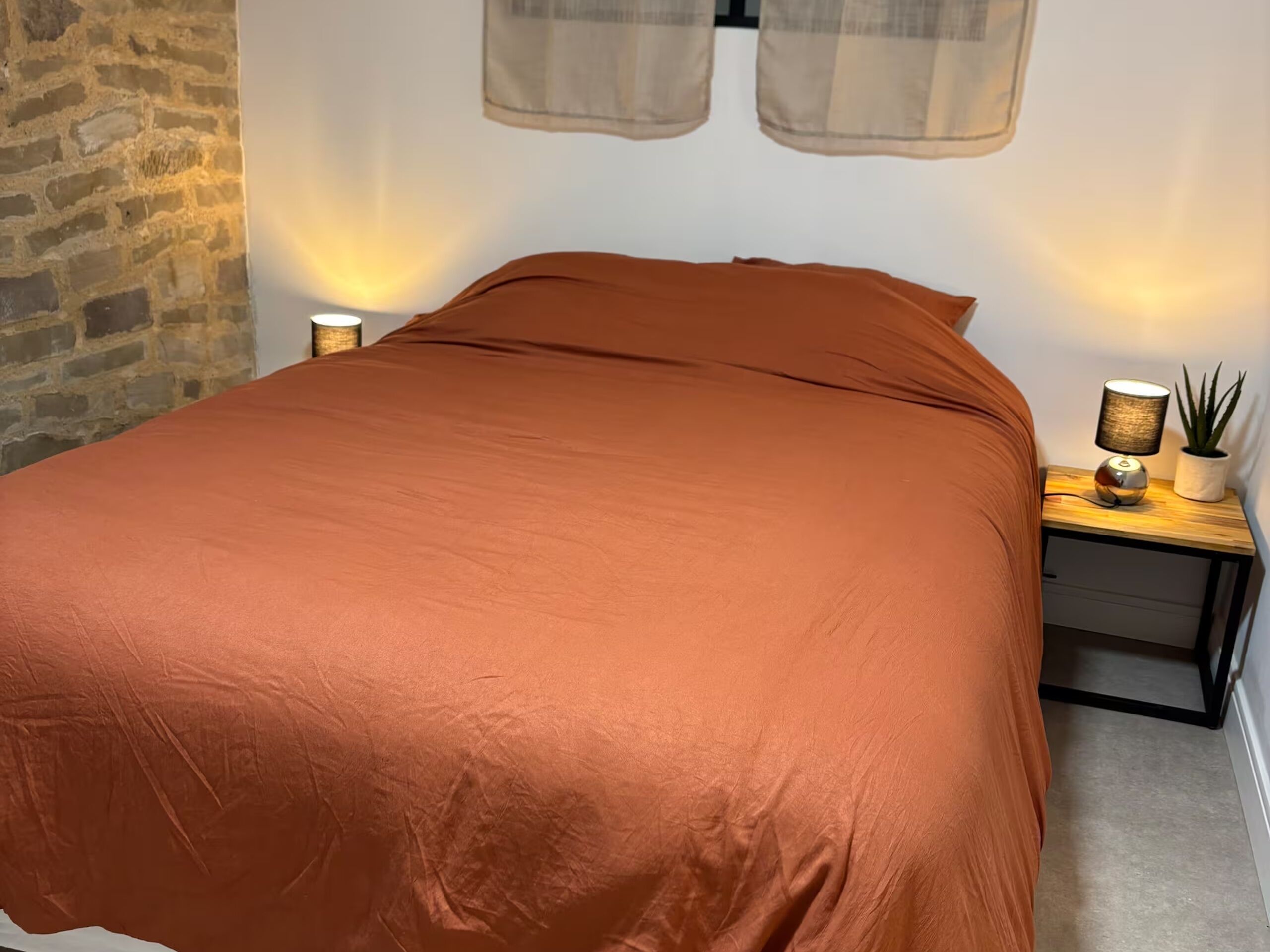 A bed with a brown cover, a bedside table with a lamp and a potted plant, and a brick wall.