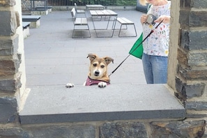 Outdoor dining - Anja Jegen, Vulkaneifel, Ulmen (Ulmen)