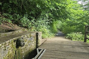 施設の敷地