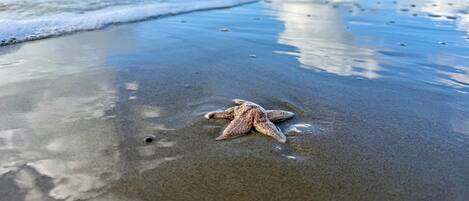 Am Strand