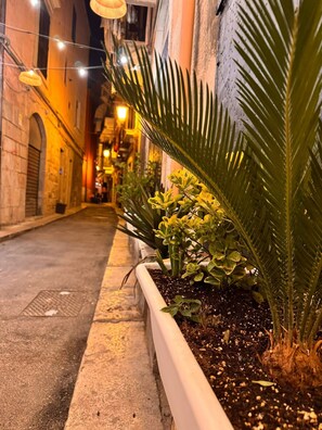 Una calle estrecha bordeada de edificios, un macetero con plantas e iluminación colgante.