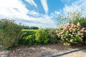 Ein Garten mit Hecken und blühenden Pflanzen, ein klarer Himmel und ein Gebäude in der Ferne.