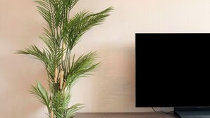 A living room with a flat-screen TV, a wooden cabinet, a woven plant stand, and a wooden floor. - A beautiful, modernly furnished vacation rental for 4 people, located right across from the beach entrance in Callantsoog! (Callantsoog)