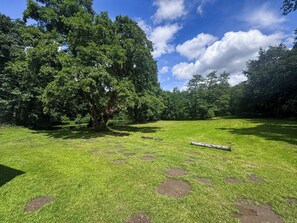 A grassy field with trees and a clear sky. - 2 bedroom accommodation in Hevingham (Hevingham)
