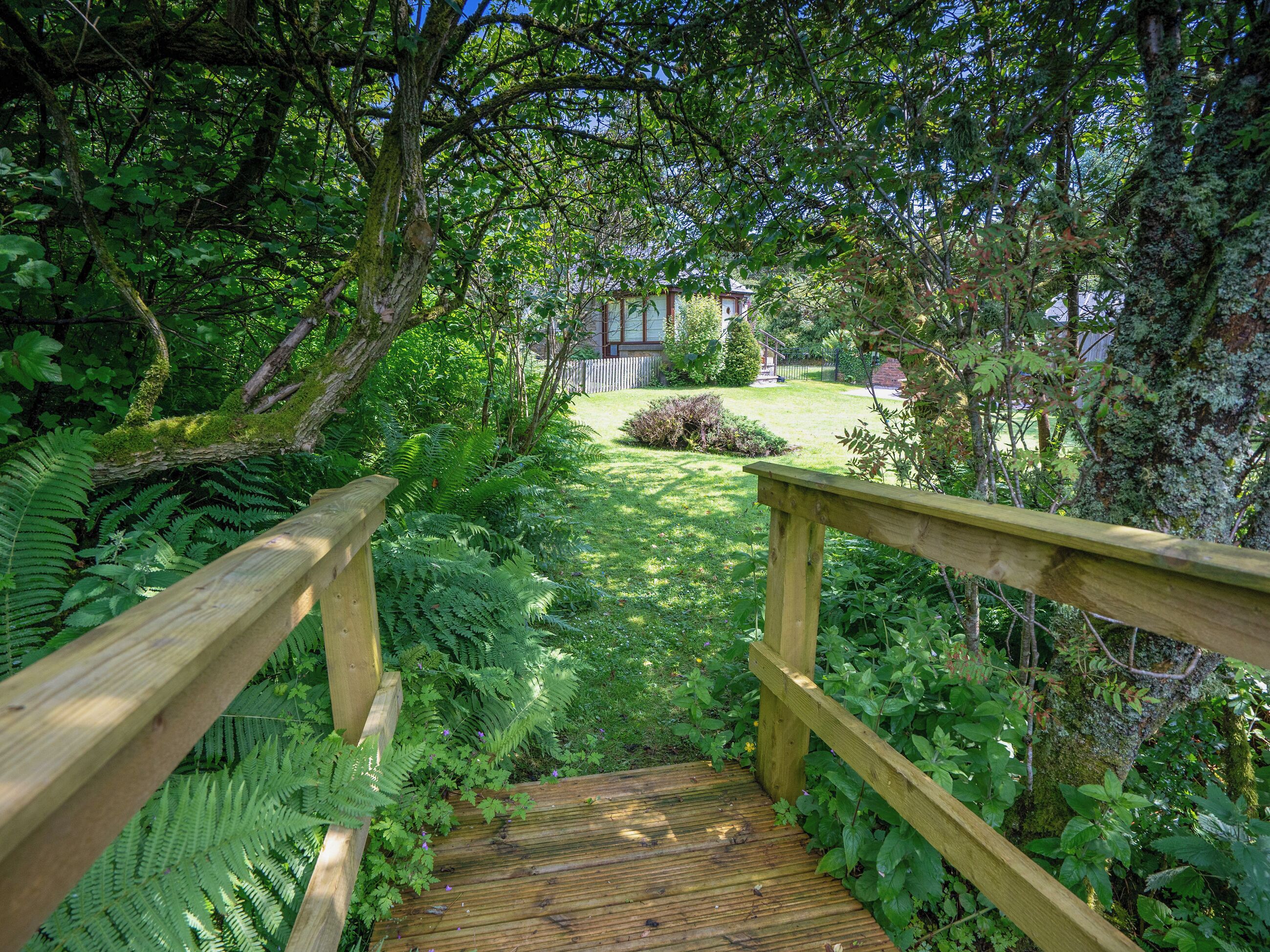 A wooden pathway leading through a lush garden with ferns and trees, towards a house with a visible lawn and fence.