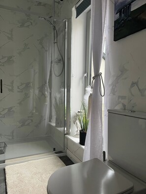Une salle de bain avec une douche à parois de verre, des toilettes blanches, une petite plante en pot et un mur décoré d’un motif imitant le marbre.