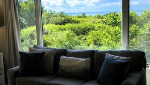 A room with a large window, a grey sofa with cushions, and a view of greenery and the sea.