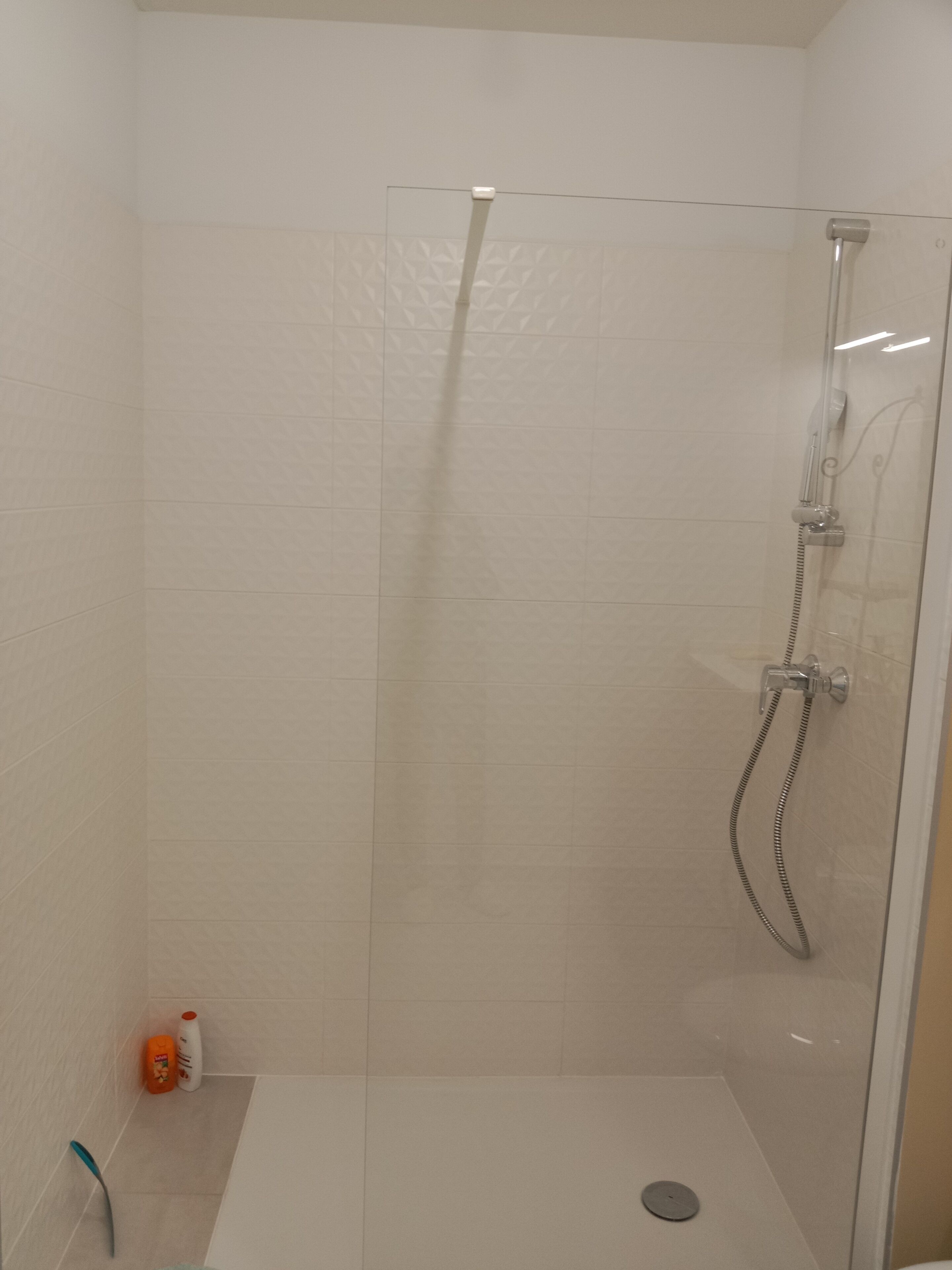 A glass-enclosed shower stall with a handheld showerhead and a wall-mounted faucet.