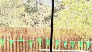 A room with a checkered patterned sofa, a view of a bamboo fence, and green triangular flags. - New apartment in a luxury residence on the waterfront of Lake Carcans. (Carcans)