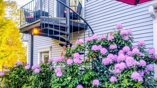 Een terras met tuinmeubilair, een rode parasol, en een huis met balkon.