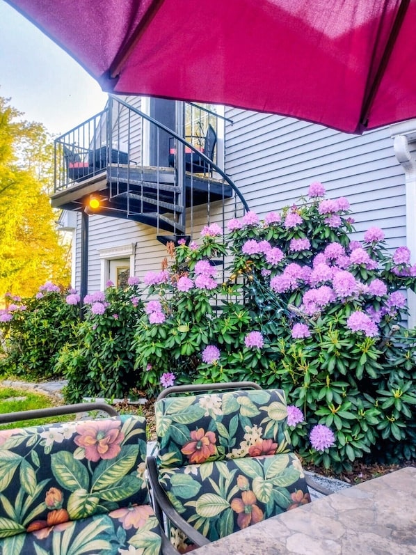 Property grounds - Villa Sabrina: A Serene 700 Sq Ft Studio on a 5.6-Acre Estate in Lagrangeville (Lagrangeville)