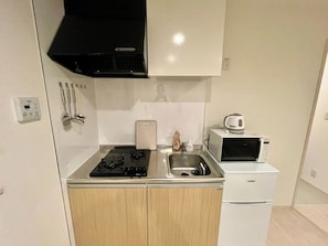 Kühlschrank, Mikrowelle, Herdplatte, Kochgeschirr/Geschirr/Besteck