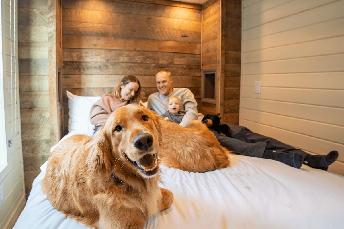 5 bedrooms