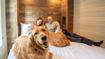 5 bedrooms