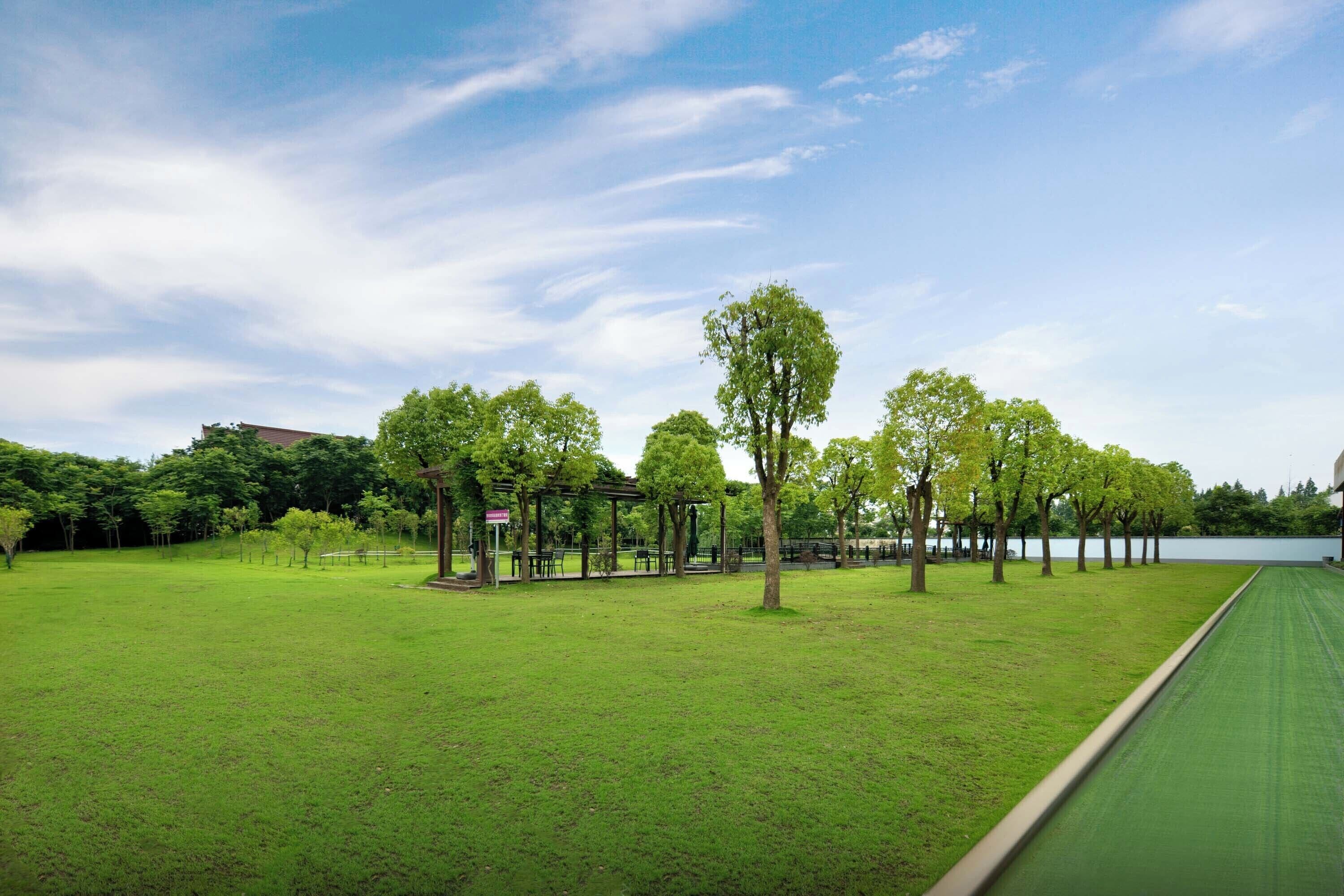 A grassy park area with trees and a pavilion.