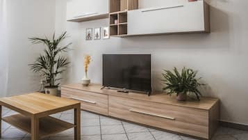 TV
