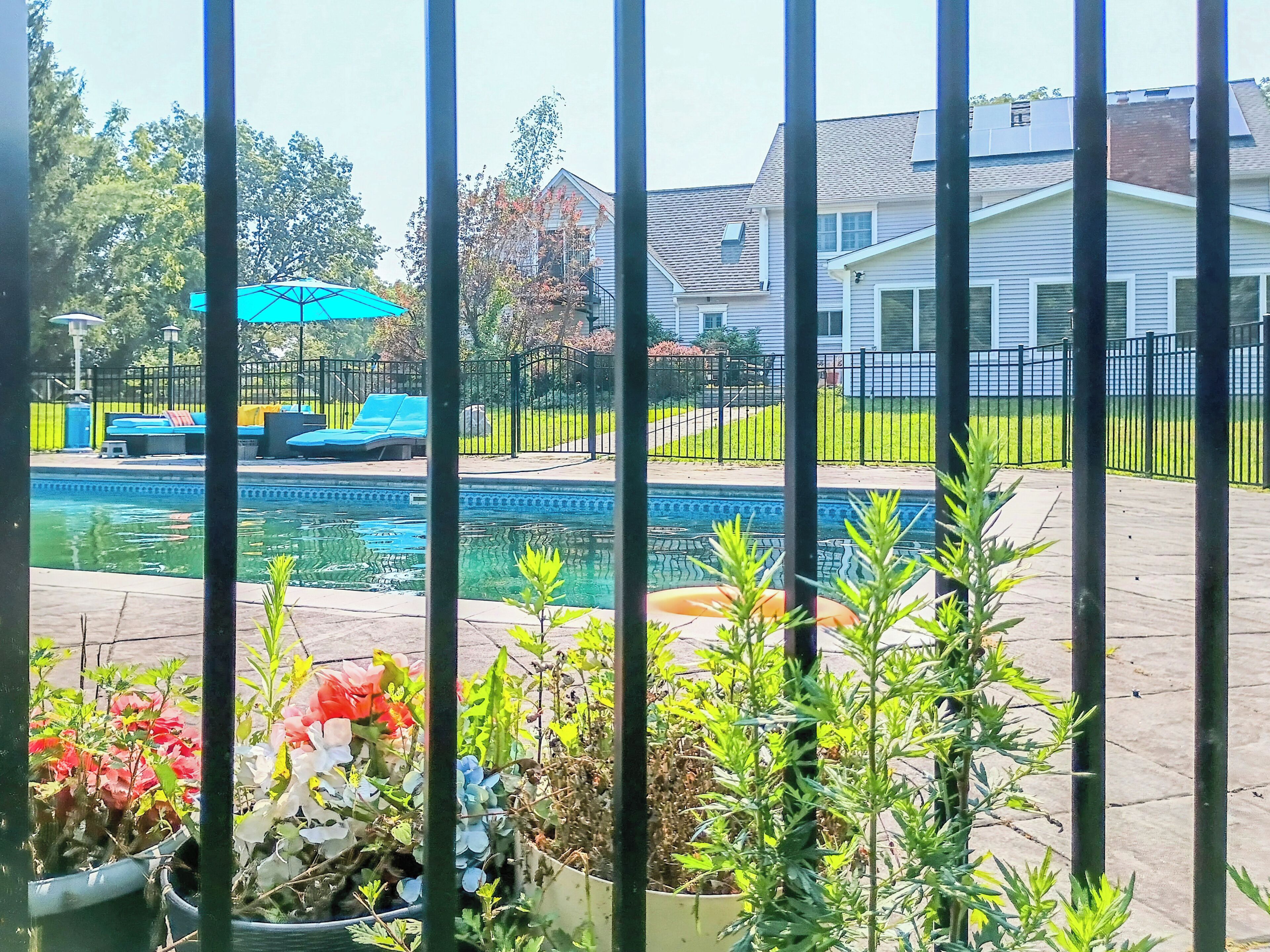 Studio | Piscine | Piscine extérieure (ouverte en saison)