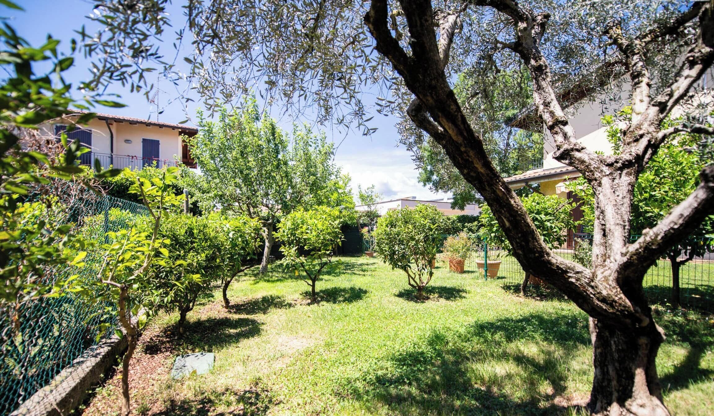 A garden with various trees and a fence.