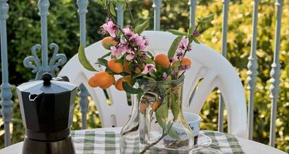 Las Rosas 5 by Casasol