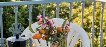 Las Rosas 5 by Casasol