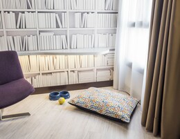 Um quarto com uma cadeira roxa, uma cama para animais de estimação e uma estante cheia de livros.