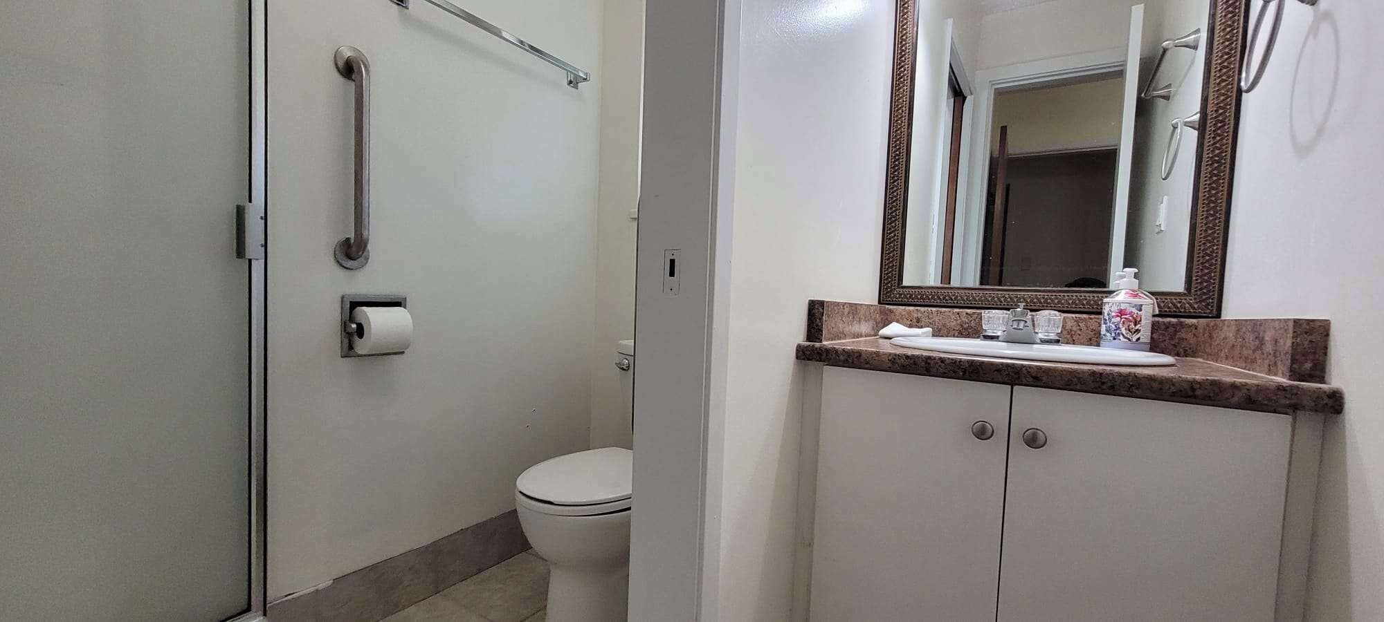Hair dryer, bidet, towels, soap