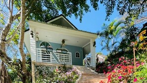 A house with a stone staircase leading to a porch, surrounded by lush greenery and flowering plants.