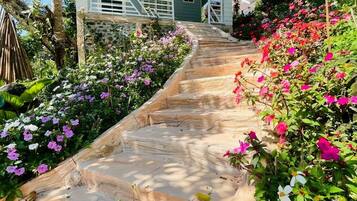 Deluxe Single Room, Garden View | Property grounds
