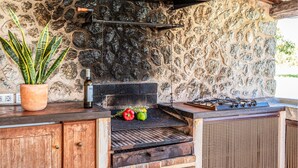 Eine Außenküche mit einer Steinwand, einem Grill, einem Blumentopf und einem Gasherd.