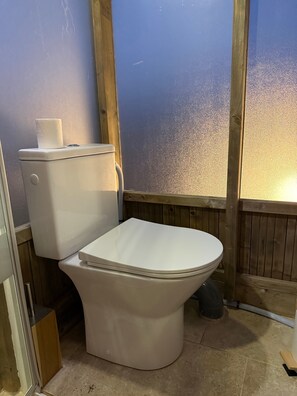 Shower, hair dryer, towels - Cottage 'La Verrière Du Cotentin' with Private Garden and Wi-Fi (Terre-et-Marais)