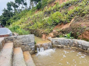 A stone water feature with a small waterfall, surrounded by lush greenery and a concrete pathway.